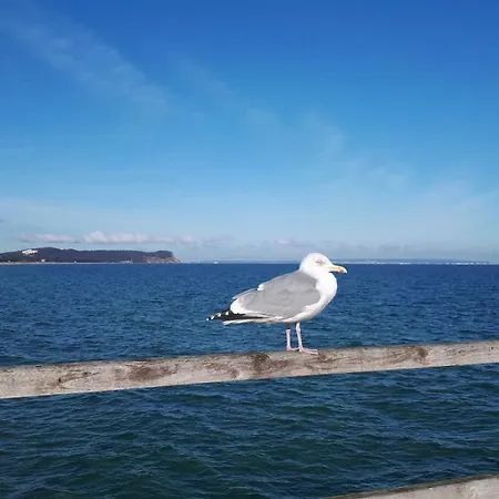 Strandmuschel Sabrina Goehren (Ruegen)