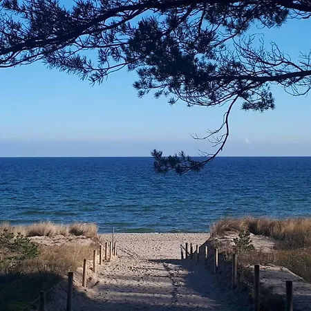 Strandmuschel Sabrina Goehren (Ruegen)